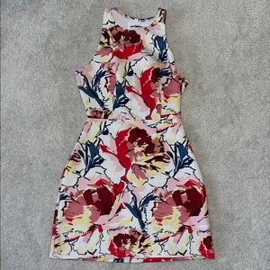 Floral Sleeveless Dress - Red and Pink
